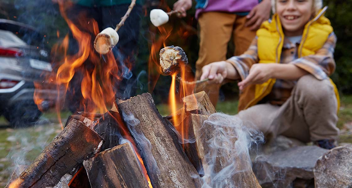 Hyundai New SANTA FE | Галерея, фото | Хюндай Мотор Україна - фото 8