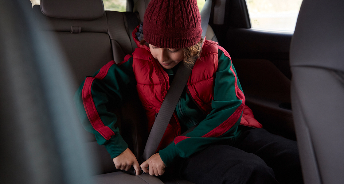 Hyundai New SANTA FE | Галерея, фото | Хюндай Мотор Україна - фото 21