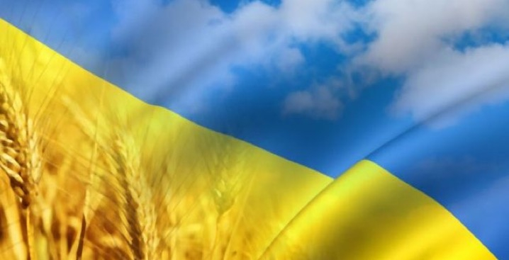 Новини | Хюндай Мотор Україна - фото 16